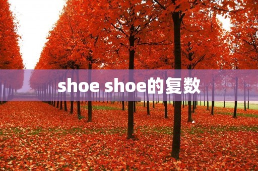 shoe shoe的复数