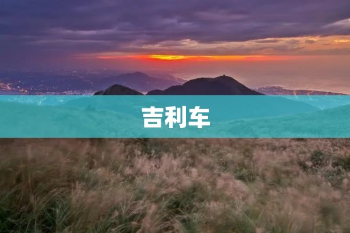 吉利车：中国汽车品牌的全球征程