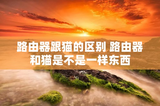 路由器跟猫的区别 路由器和猫是不是一样东西