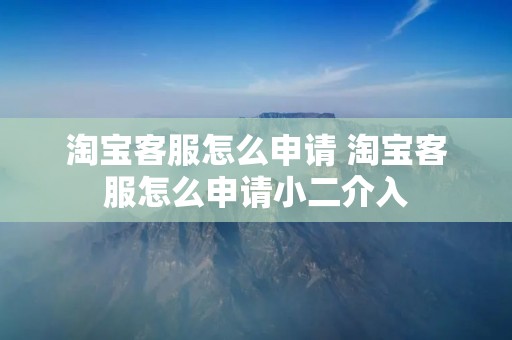 淘宝**怎么申请 淘宝**怎么申请小二介入 淘宝**怎么申请 淘宝**怎么申请小二介入
