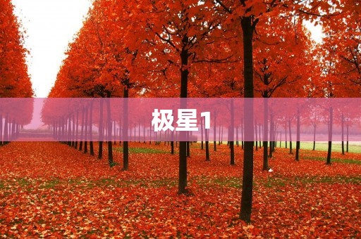 极星1:中国第一艘北极科考破冰船 极星1:中国第一艘北极科考破冰船