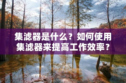 集滤器是什么?如何使用集滤器来提高工作效率? 集滤器是什么?如何使用集滤器来提高工作效率?