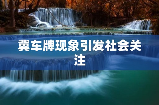 冀车牌现象引发社会关注