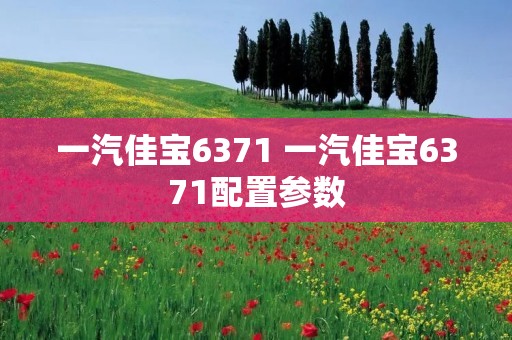 一汽佳宝6371 一汽佳宝6371配置参数