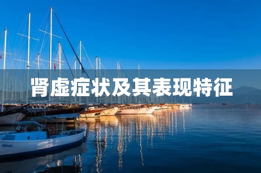 肾虚症状及其表现特征