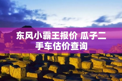 东风小霸王报价 瓜子二手车估价查询