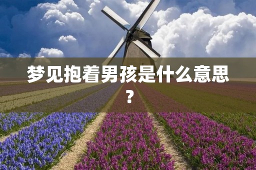梦见抱着男孩是什么意思?