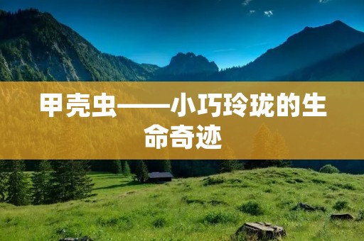 甲壳虫——小巧玲珑的生命奇迹