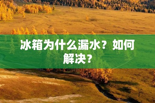 冰箱为什么漏水？如何解决？
