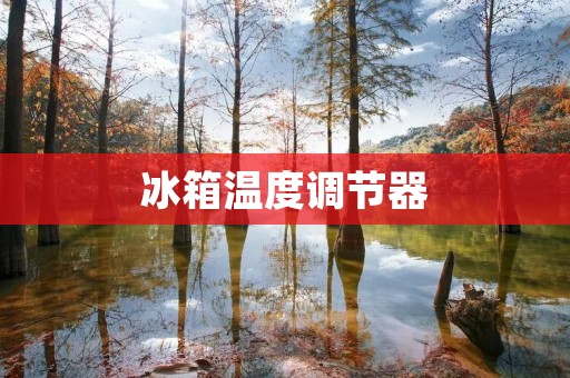 冰箱温度调节器:让你的食物保鲜更长久