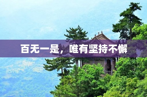百无一是,唯有坚持不懈 百无一是,唯有坚持不懈