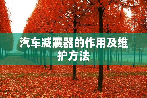汽车减震器的作用及维护方法 汽车减震器的作用及维护方法