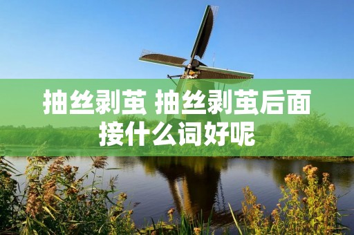 抽丝剥茧 抽丝剥茧后面接什么词好呢