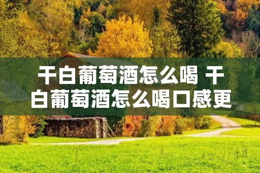 干白葡萄酒怎么喝 干白葡萄酒怎么喝口感更好
