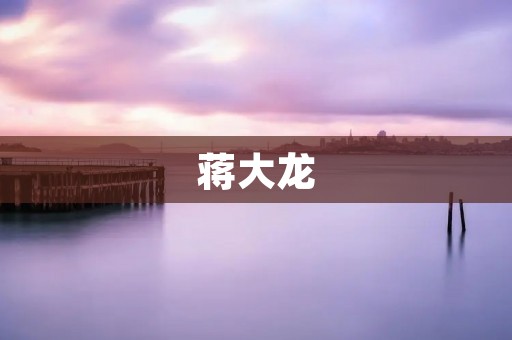 蒋大龙：中国足球的传奇
