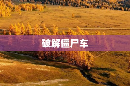 破解僵尸车：如何让你的车不再成为它们的猎物