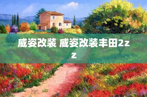 威姿改装 威姿改装丰田2zz 威姿改装 威姿改装丰田2zz