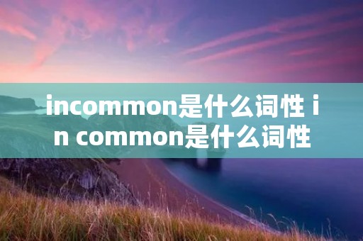 incommon是什么词性 in common是什么词性