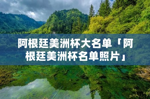 阿根廷美洲杯大名单「阿根廷美洲杯名单照片」
