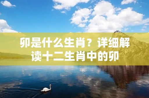 卯是什么生肖?详细解读十二生肖中的卯