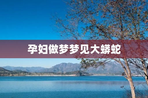 孕妇做梦梦见大蟒蛇