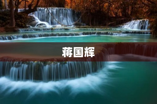 蒋国辉:中国著名企业家与教育家 蒋国辉:中国著名企业家与教育家