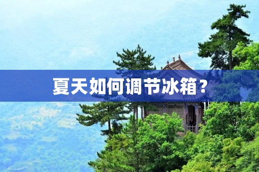 夏天如何调节冰箱？
