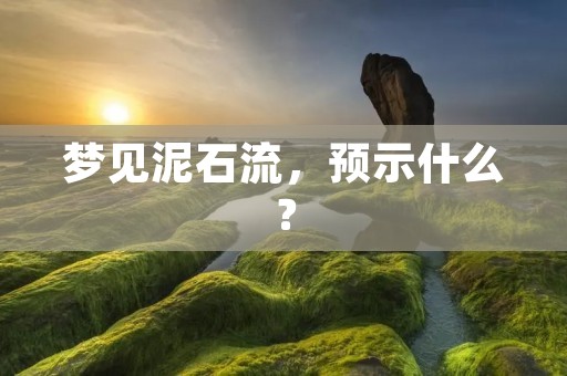 梦见泥石流,预示什么?