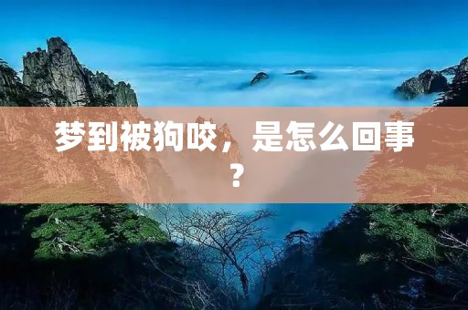 梦到被狗咬,是怎么回事?