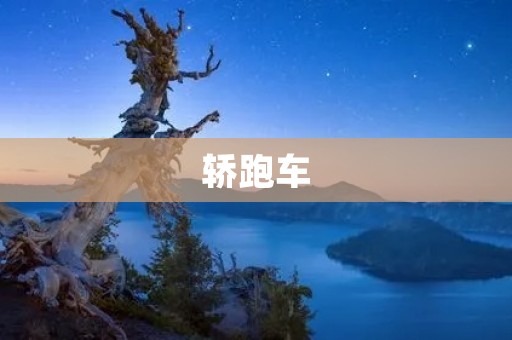 轿跑车:时尚、动感、速度与**的完美结合 轿跑车:时尚、动感、速度与**的完美结合