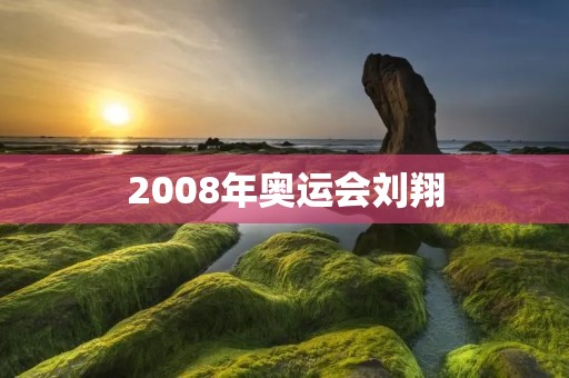 2008年奥运会刘翔:中国飞人的辉煌时刻 2008年奥运会刘翔:中国飞人的辉煌时刻