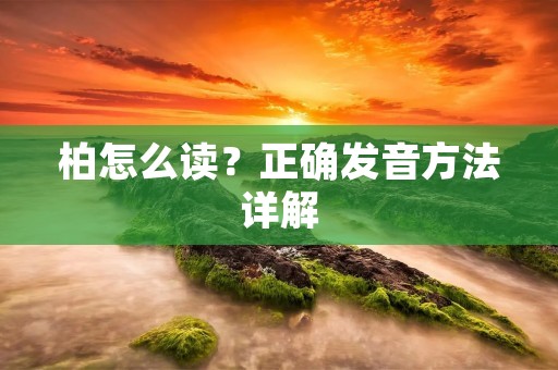 柏怎么读?正确发音方法详解 柏怎么读?正确发音方法详解