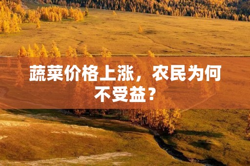 蔬菜价格上涨，农民为何不受益？