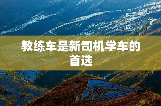 教练车是新司机学车的首选 教练车是新司机学车的首选