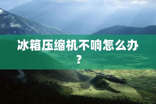 冰箱压缩机不响怎么办？