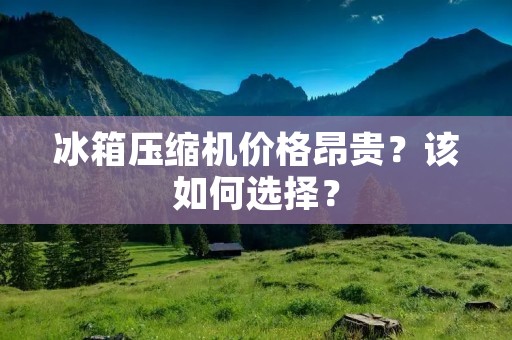 冰箱压缩机价格昂贵？该如何选择？