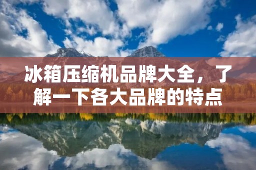 冰箱压缩机品牌大全，了解一下各大品牌的特点