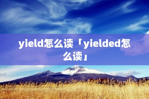 yield怎么读「yielded怎么读」