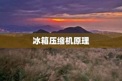 冰箱压缩机原理