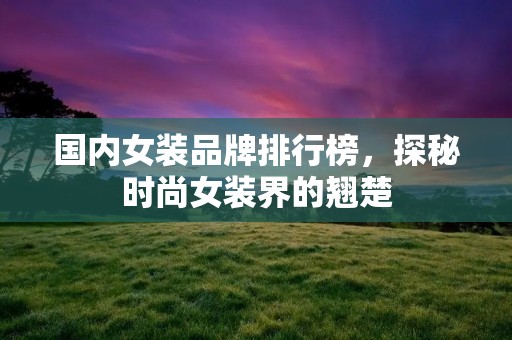 国内女装品牌排行榜,探秘时尚女装界的翘楚