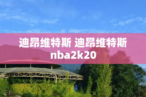 迪昂维特斯 迪昂维特斯nba2k20