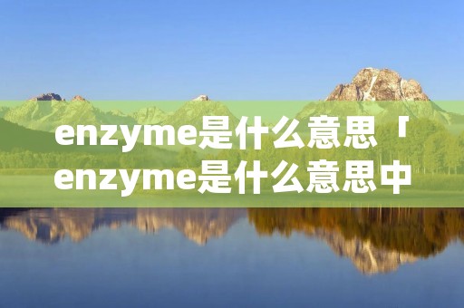 enzyme是什么意思「enzyme是什么意思中文翻译」 enzyme是什么意思「enzyme是什么意思中文翻译」