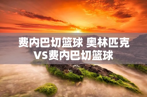 费内巴切篮球 奥林匹克VS费内巴切篮球