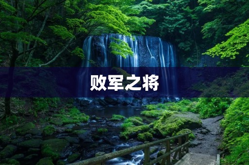 败军之将：传奇人物的沉浮
