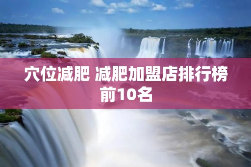 穴位减肥 减肥加盟店排行榜前10名