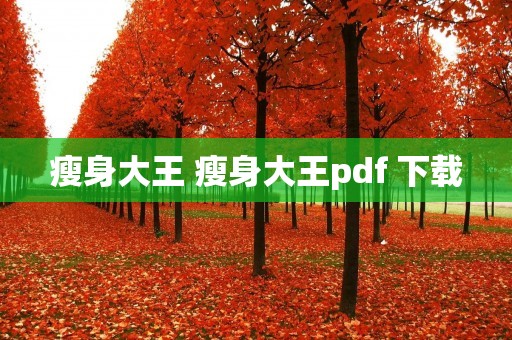 瘦身大王 瘦身大王pdf 下载