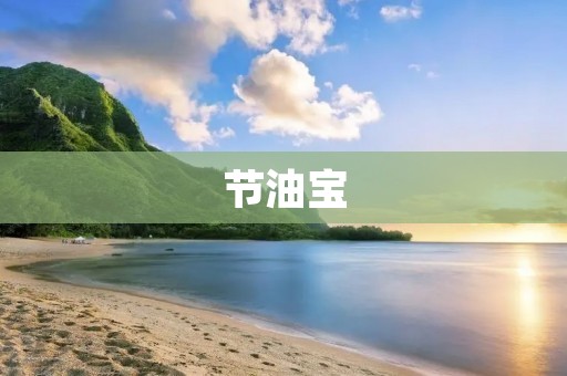 节油宝：让您的车辆更省油的神器