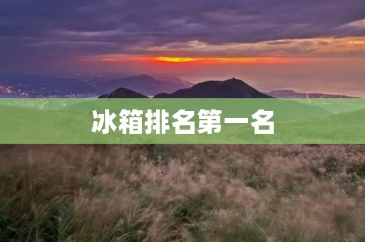 冰箱排名第一名：哪个品牌的冰箱最好？