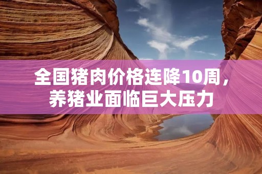 全国猪肉价格连降10周,养猪业面临巨大压力