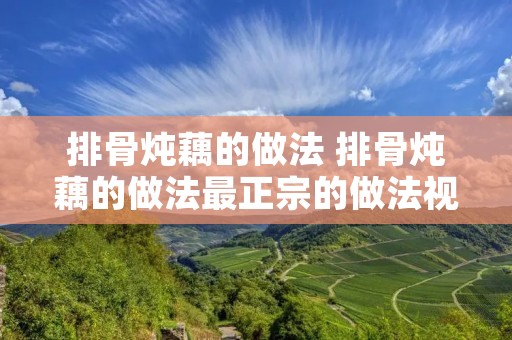 排骨炖藕的做法 排骨炖藕的做法最正宗的做法视频 排骨炖藕的做法 排骨炖藕的做法最正宗的做法视频